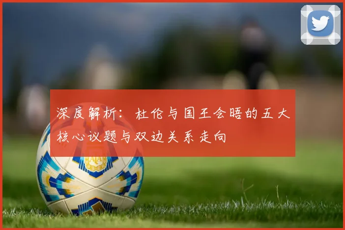 深度解析：杜伦与国王会晤的五大核心议题与双边关系走向